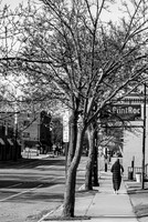 Rochester - New York